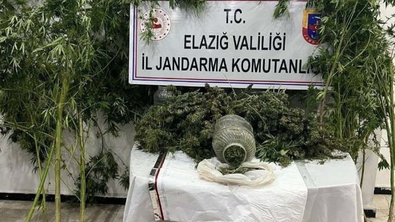 Elazığ’da uyuşturucuyla mücadele: 1 tutuklama