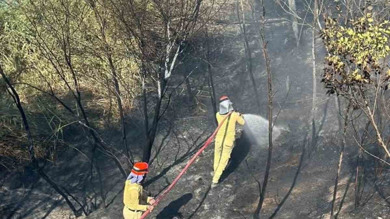 Mersin’de bahçe yangını büyümeden söndürüldü