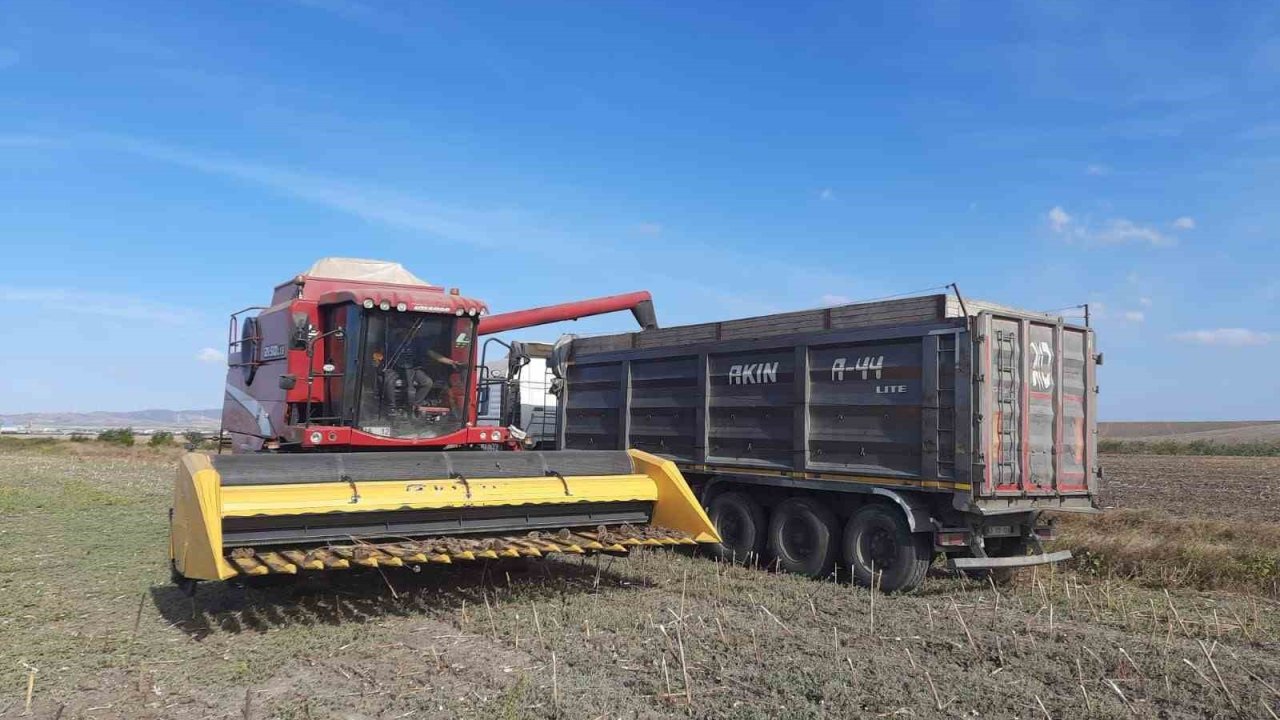 Bandırma Merinos’ta ayçiçeği hasadı tamamlandı