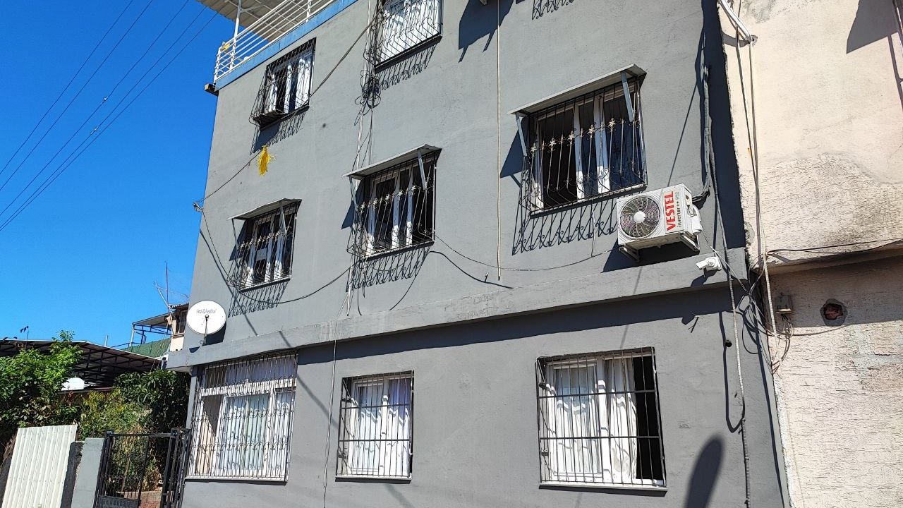 Kediyi çalıp fotoğraf çekindiler: O anlar kameraya yansıdı