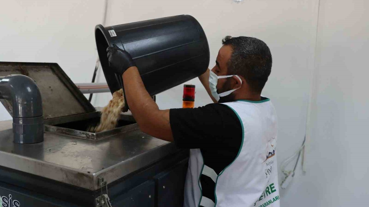 Şanlıurfa’da organik atıklar dönüştürülerek barınaklara veriliyor