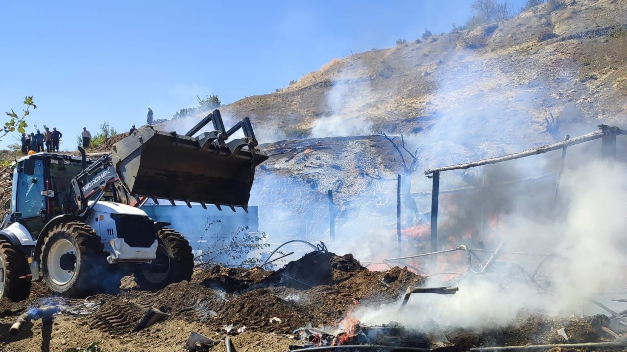 Yangında 13 küçükbaş hayvan telef oldu