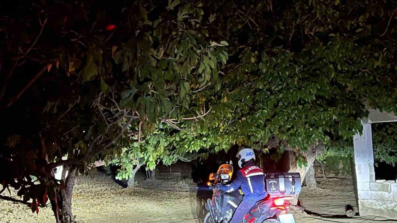 Germencik’te jandarma incir hırsızlıklarını önlemek için sahada