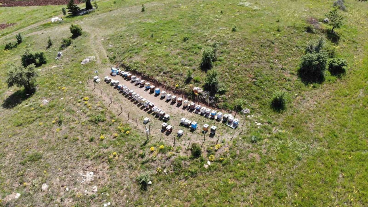 Bayburt’ta arılı kovan destekleme müracaatları başladı