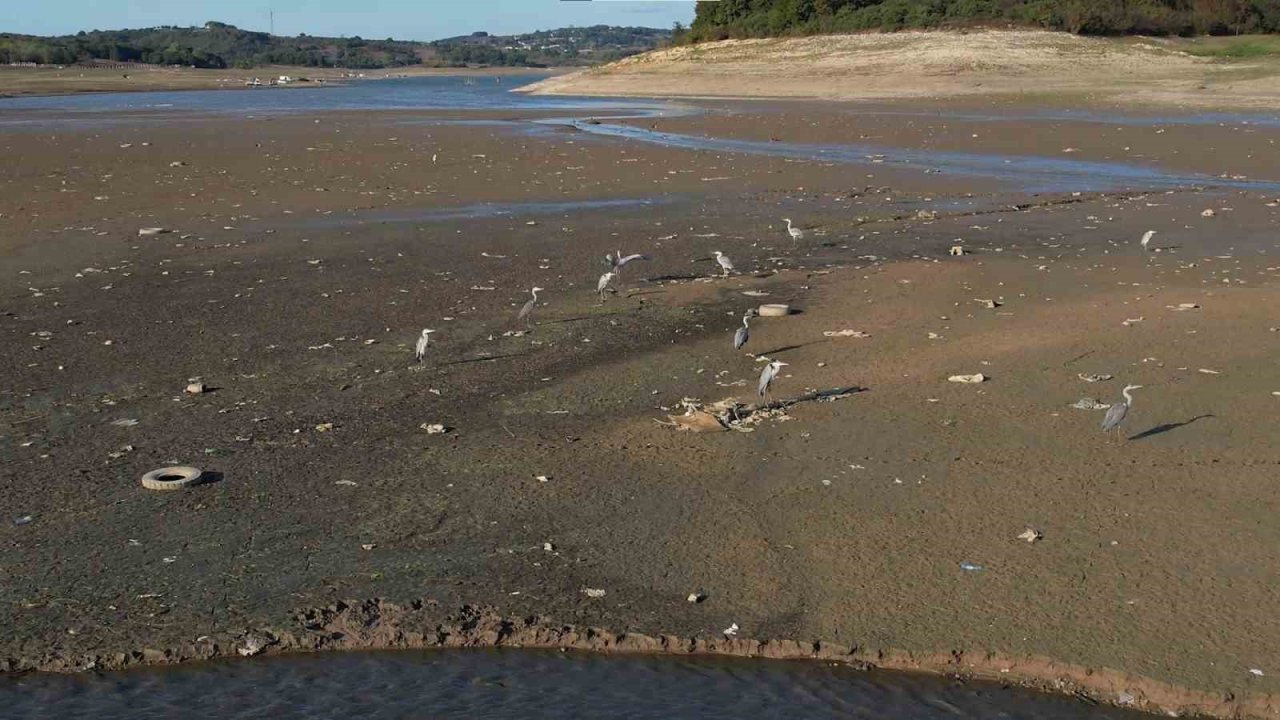 İstanbul’da barajlar alarm veriyor: Son 10 yılın en düşük su seviyesi