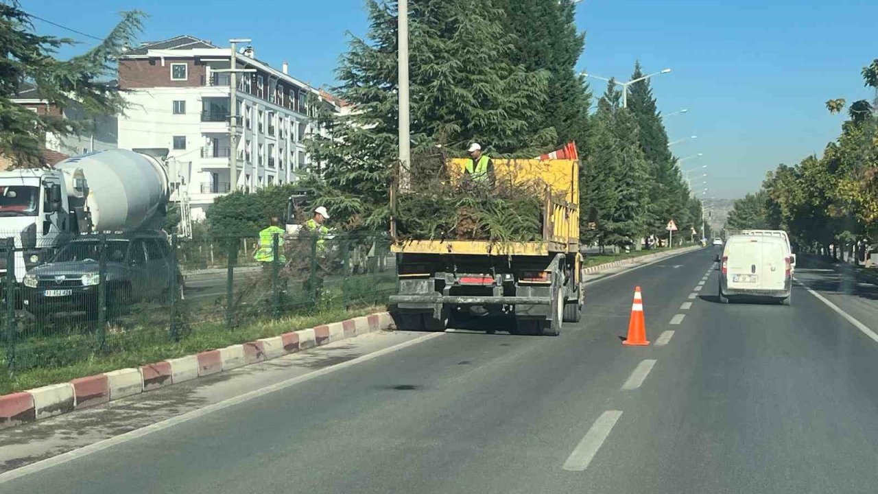 Tavşanlı Çevre Yolu, yapılan bakım ile güzelleşti