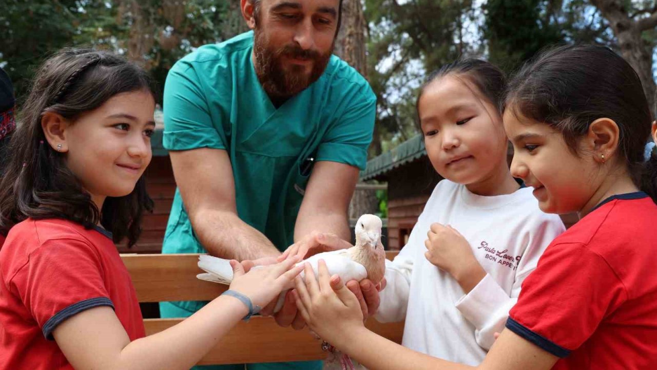 Çocuklar tedavisi tamamlanan güvercinleri doğaya saldı