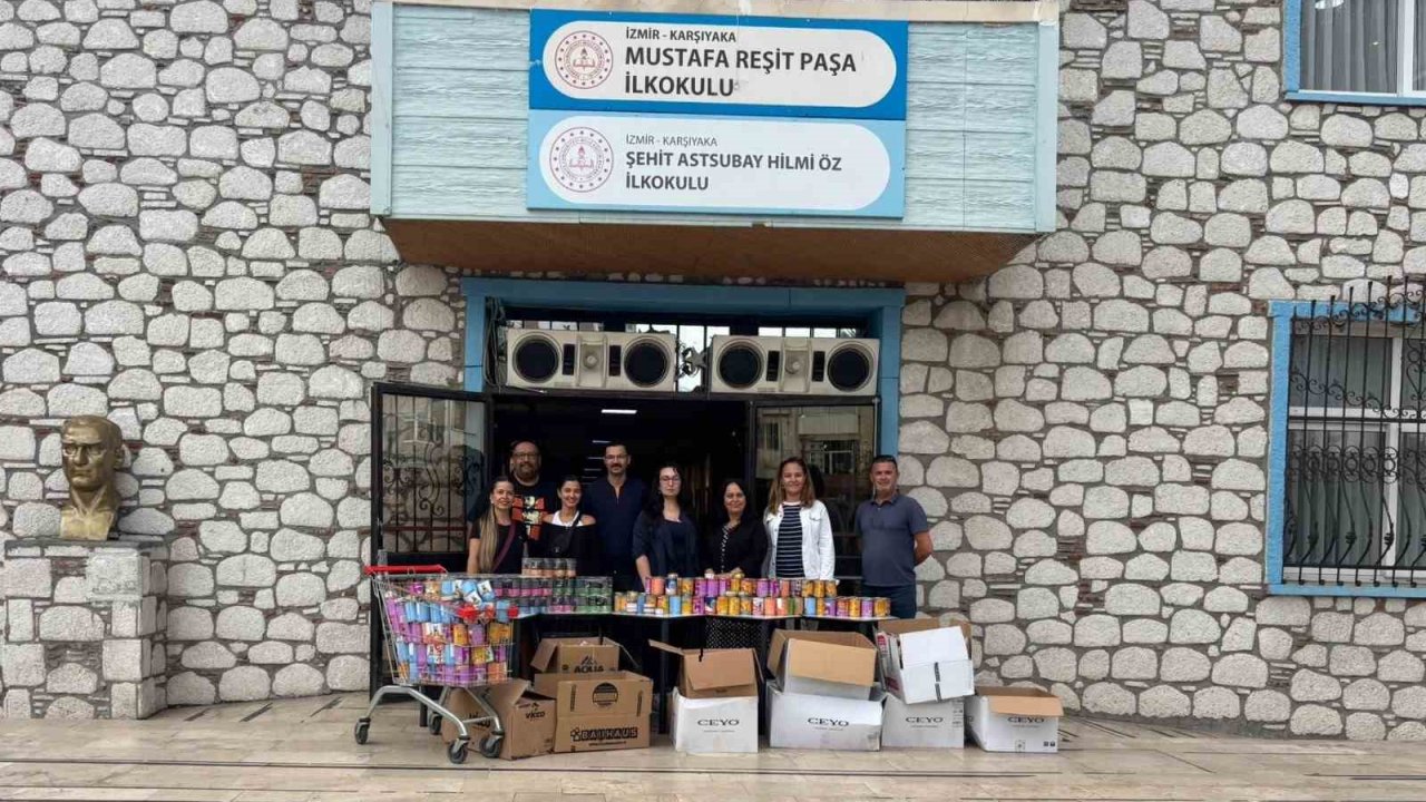 Öğrenciler, tedavi gören kediler için 2 bin kutu mama topladı