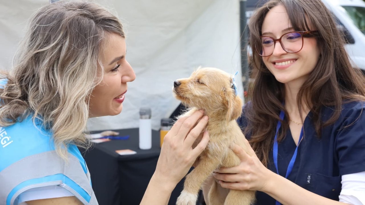 Can dostlar yeni yuvalarına kavuştu
