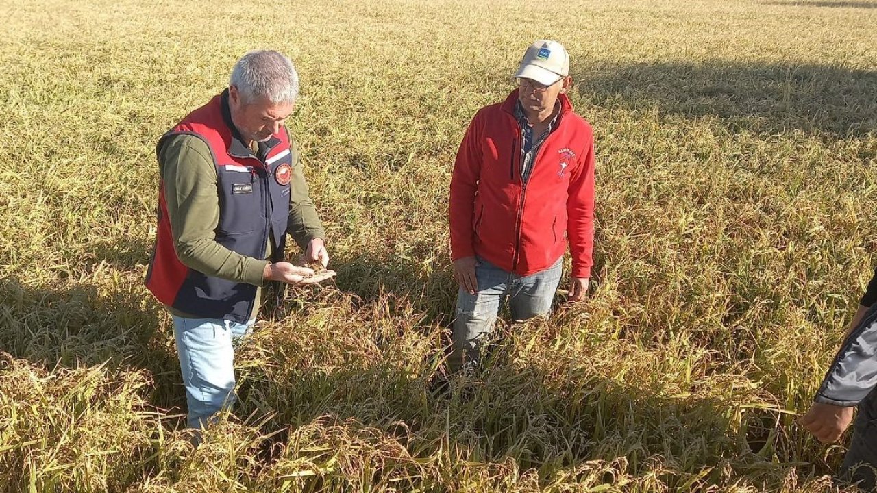 Çanakkale’de dolunun ardından bahçelerde hasar tespit çalışmaları başladı
