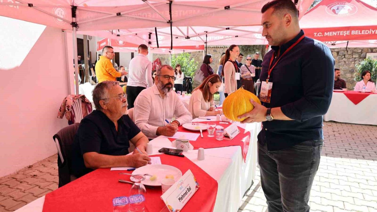 Yaylanın en iyi kavunları yarıştı