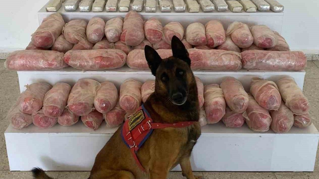 Van’da 67 kilo uyuşturucu ele geçirildi