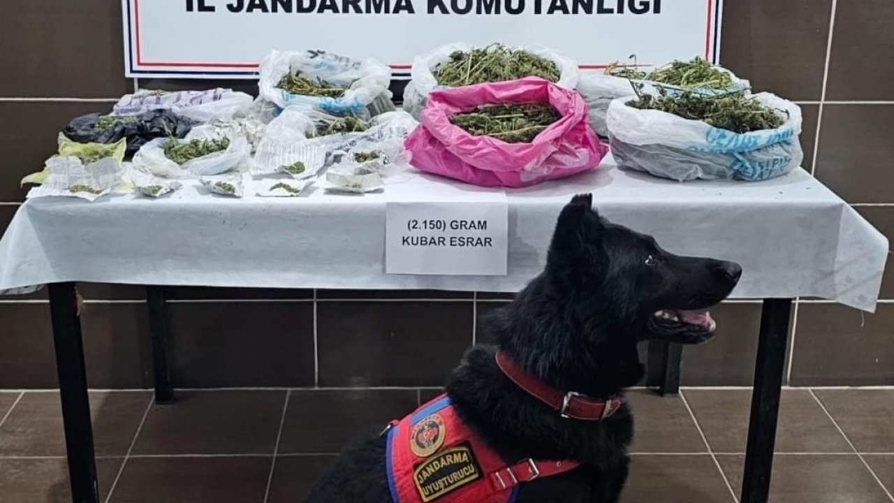 Muş’ta uyuşturucu operasyonu: 1 gözaltı