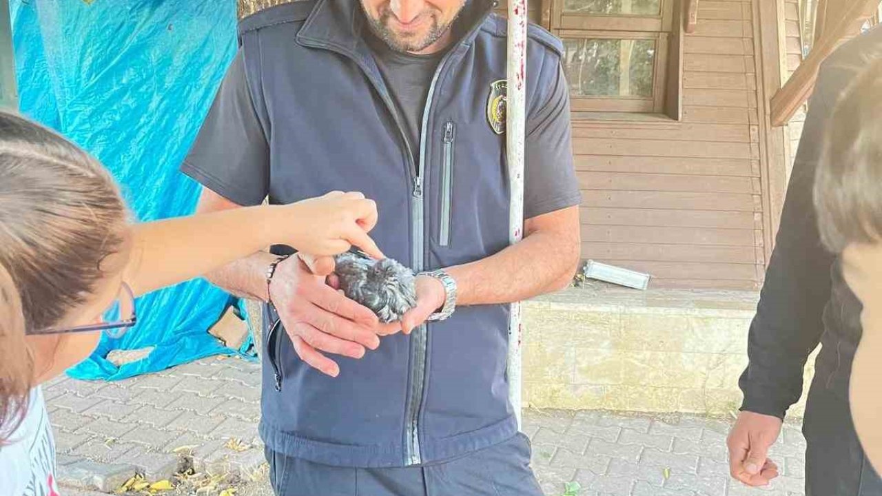 Sivas’ta boruya sıkışan kuşu itfaiye kurtardı