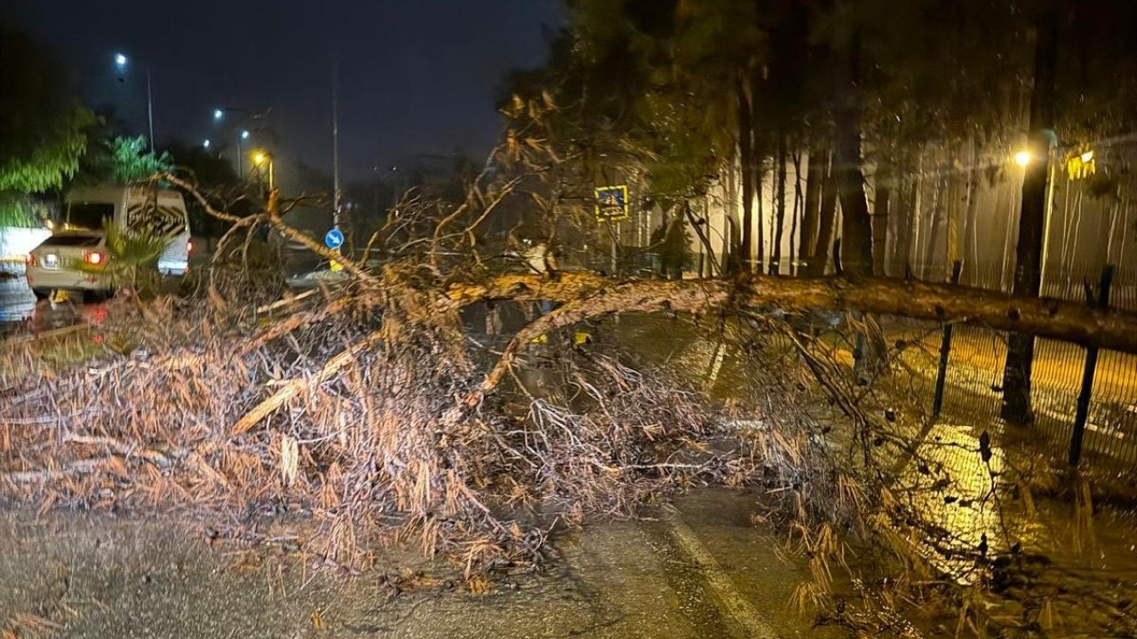 Alanya Belediyesi olumsuz hava şartlarına karşı teyakkuzda