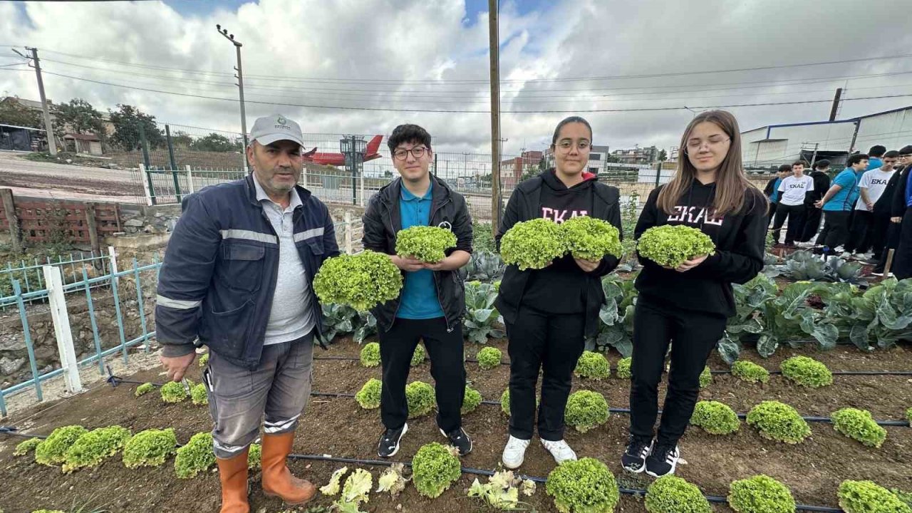 Öğrenciler, "Bahçem Çayırova"da ilk hasadı yaptı