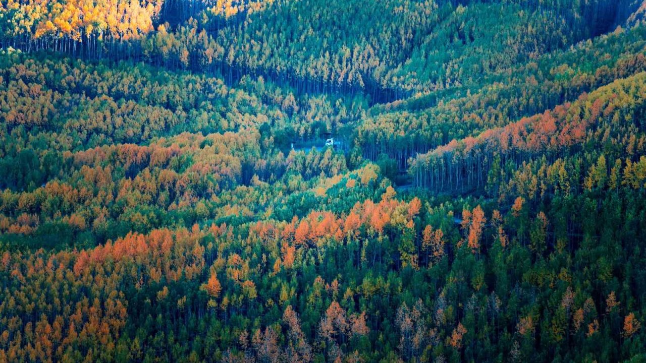 Doğaseverlerin Kayseri’deki saklı hazinesi: Ortaseki Ormanları