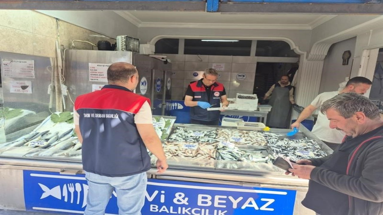 Düzce’de su ürünleri denetimi: Yasal boy altındaki 11 kasa balığa el konuldu