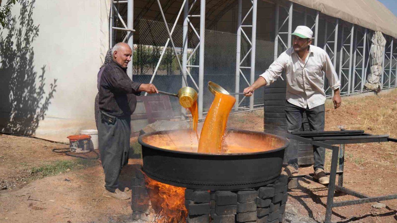 Gaziantep’te dev kazanlar pekmez yapımı için kaynıyor