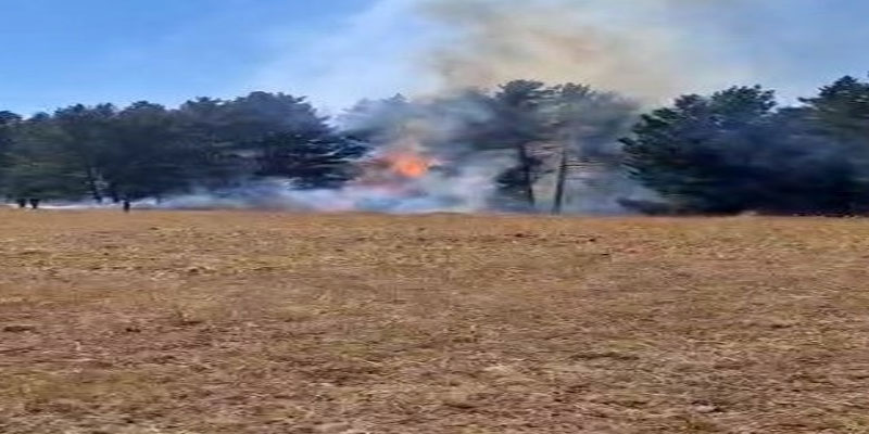 Sarıkamış ormanlarında örtü yangını