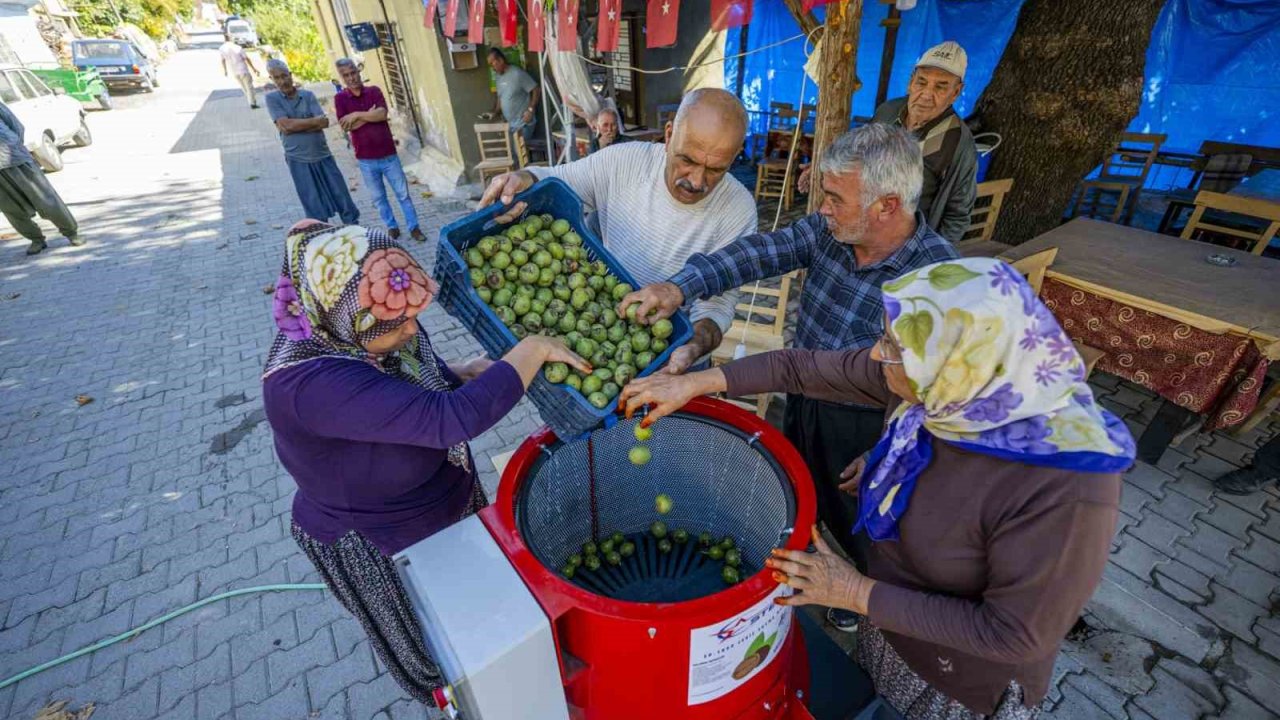 Mersin’de üreticiye ceviz soyma makinesi desteği