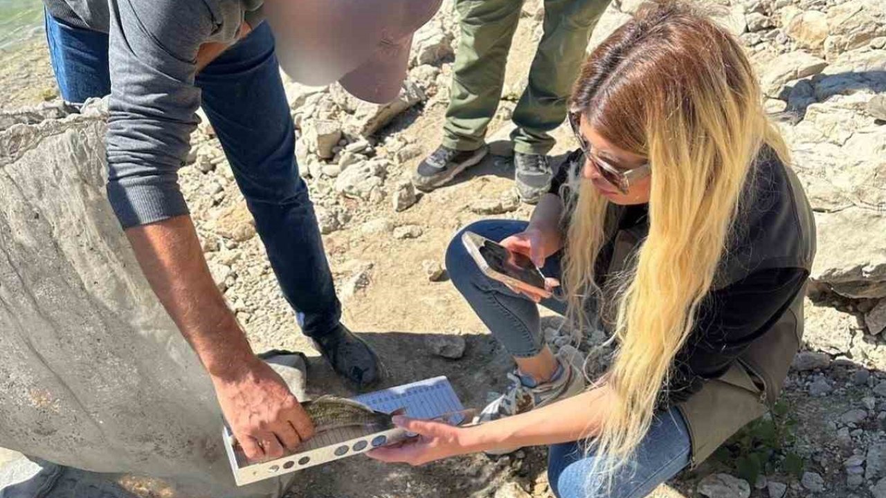 Tunceli’de yasak ağ kullanan ve boy limitine uymayan şahıslara ceza kesildi