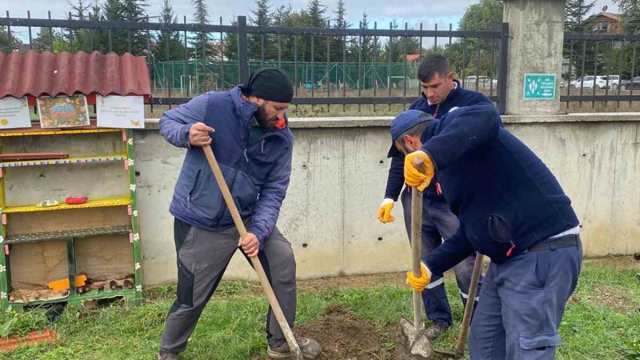 Orman yangınları sonrası yola çıktı, 71. fidanını Bolu’da dikti