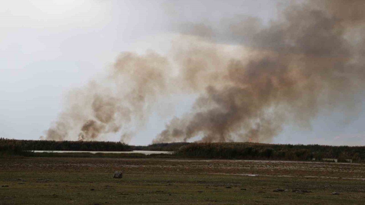 Büyük İron sazlığında yangın