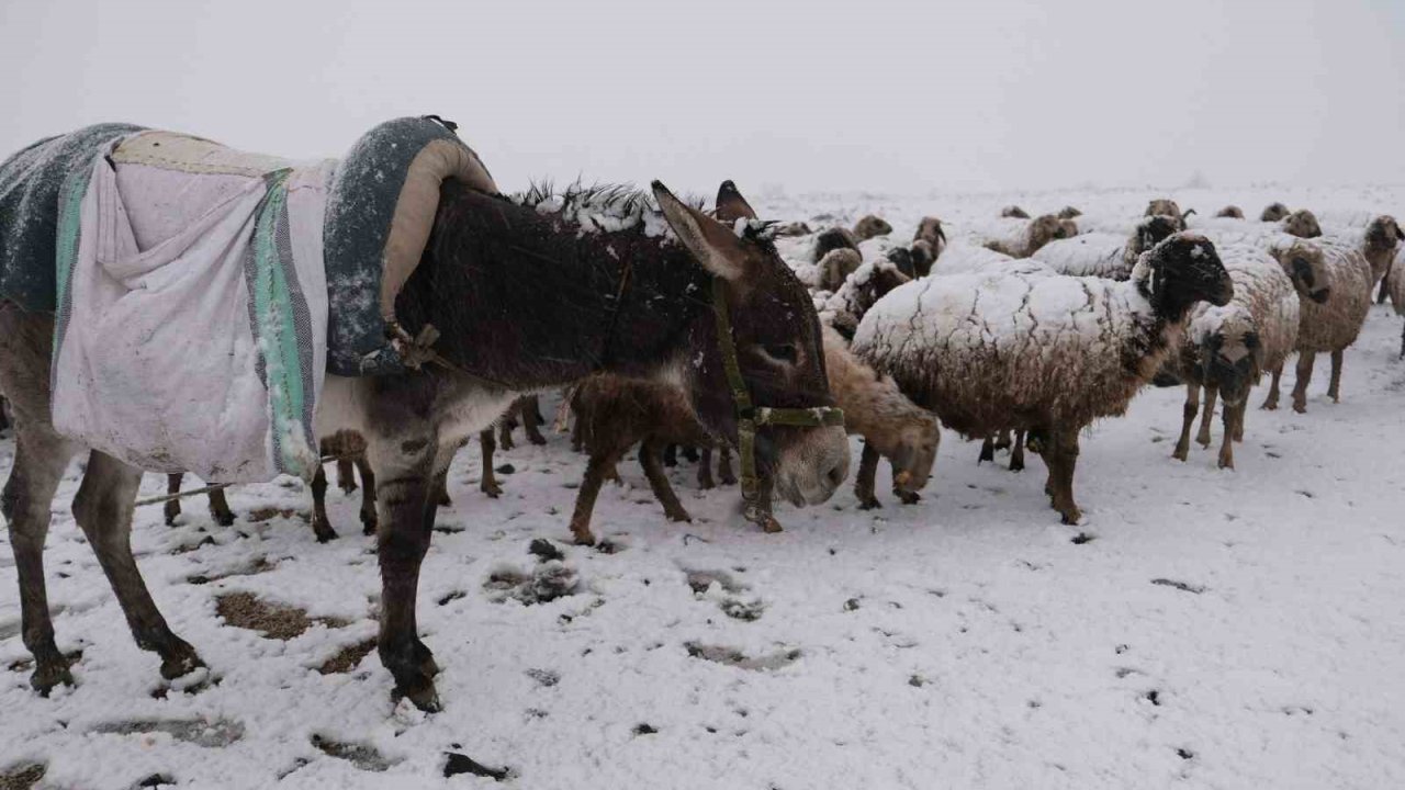 Göçerler kara yaylada yakalandı