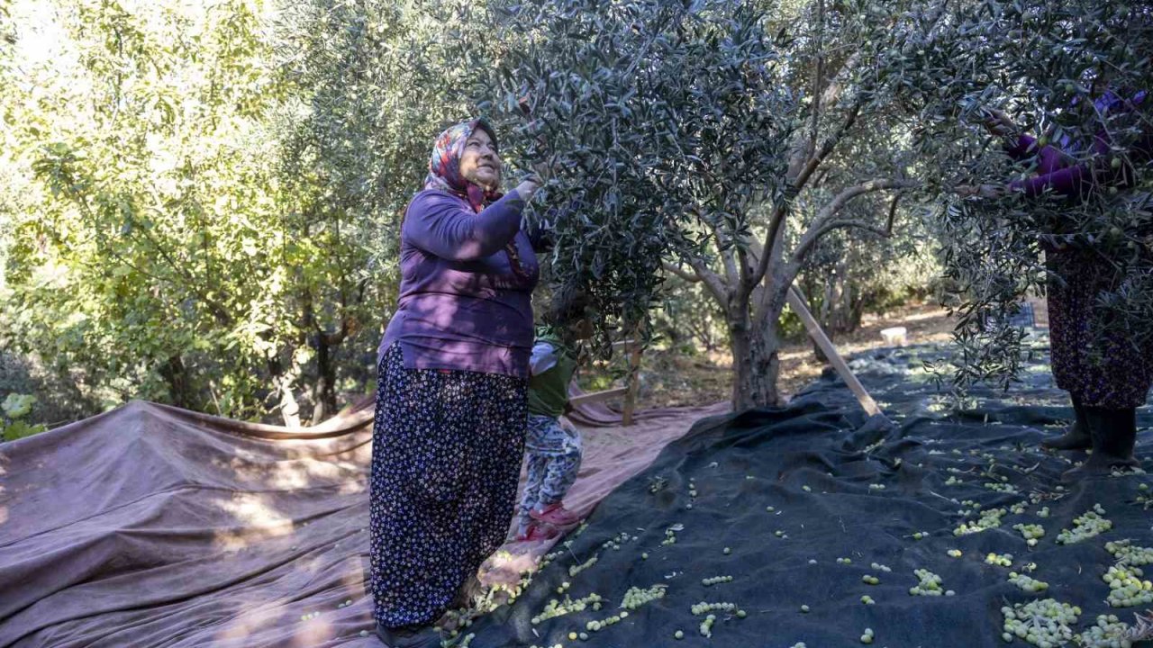Mersin’de kadınlar üreterek güçleniyor