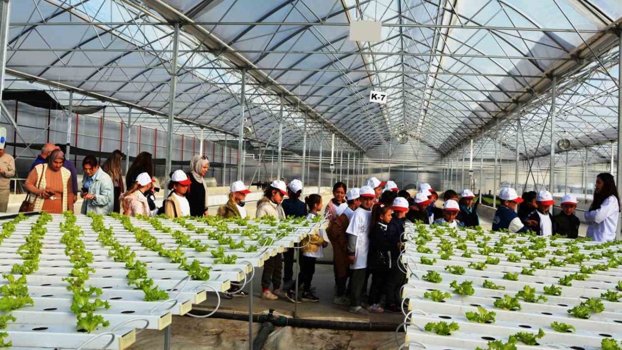 Samsun’da lider çocuk tarım kampı düzenlendi