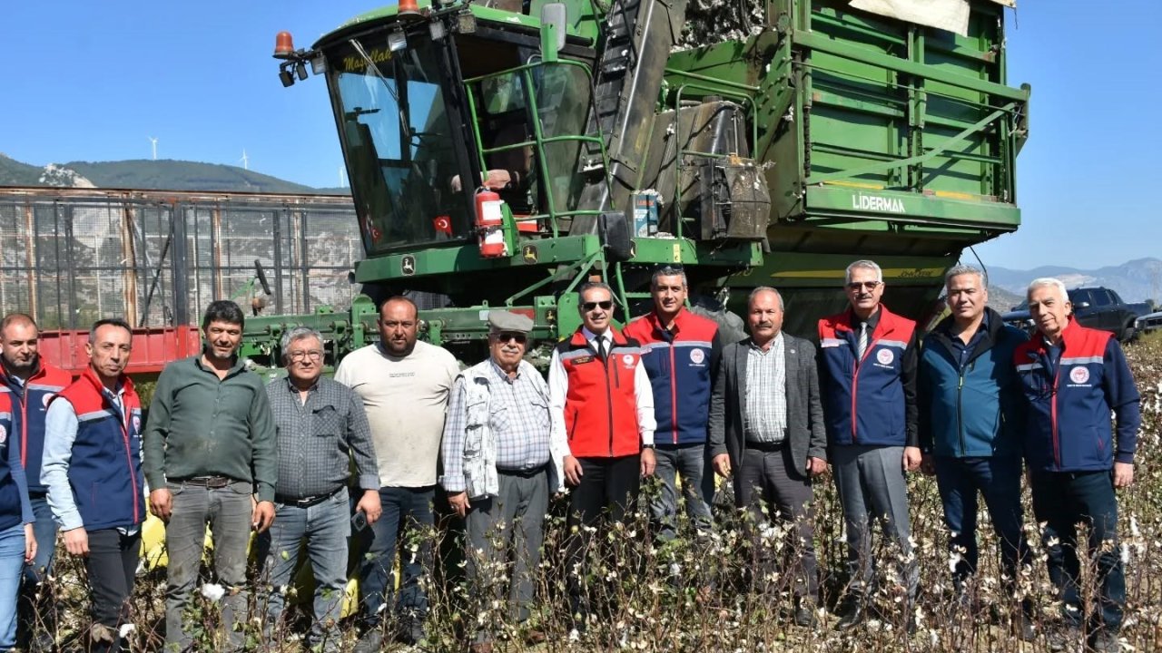 Söke Ovası’nda pamuk hasadı sürüyor