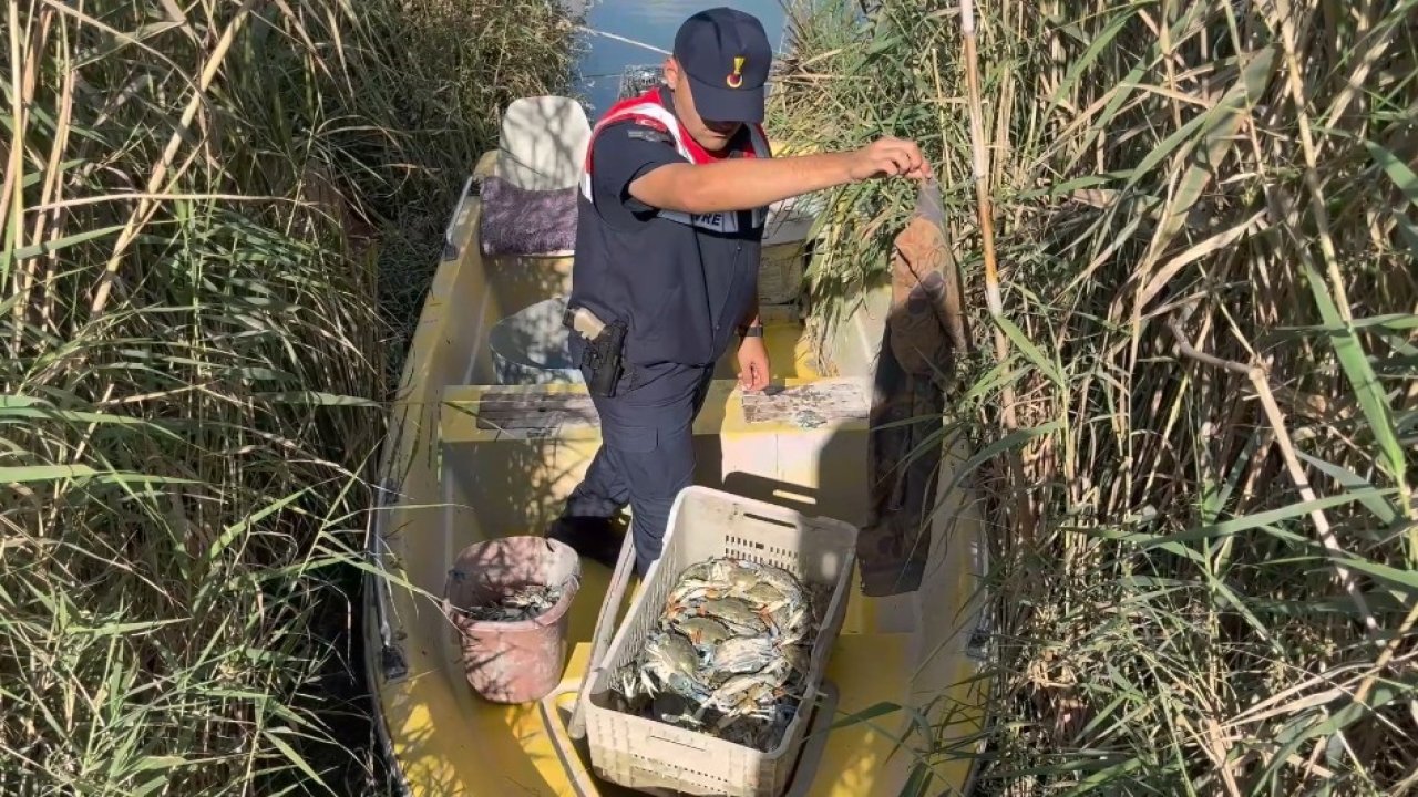 Göksu Deltası’nda mavi yengeç avcıları yakalandı