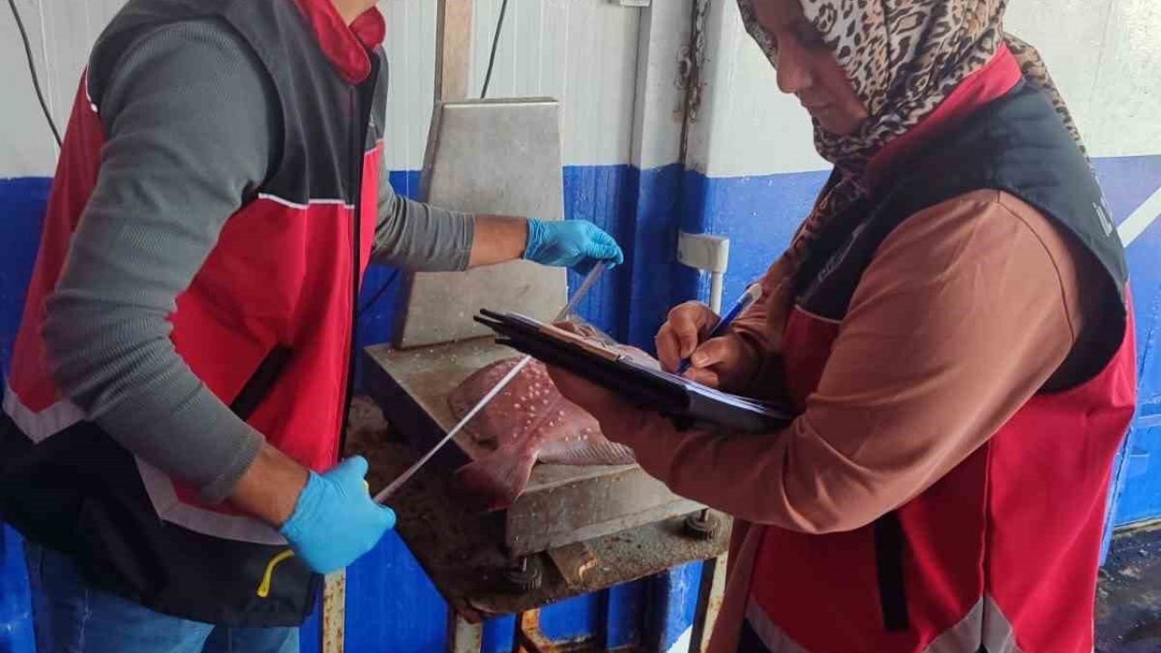 Zonguldak’ta su ürünleri denetimleri sürüyor