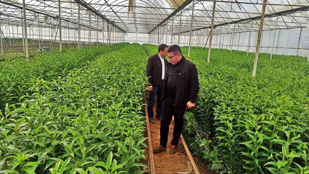 Emet’te üreticiler için Simav’daki seralara teknik gezi