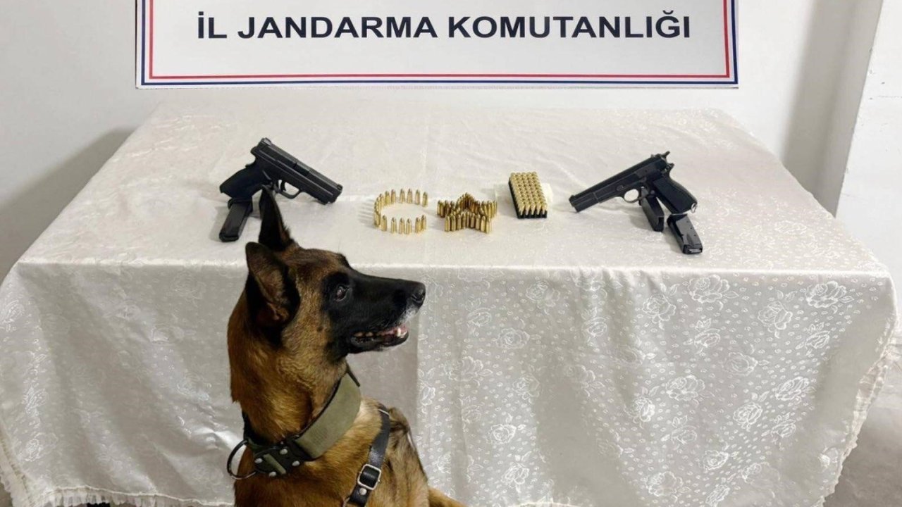 Şanlıurfa’da silah kaçakçılığı operasyonu: 8 gözaltı