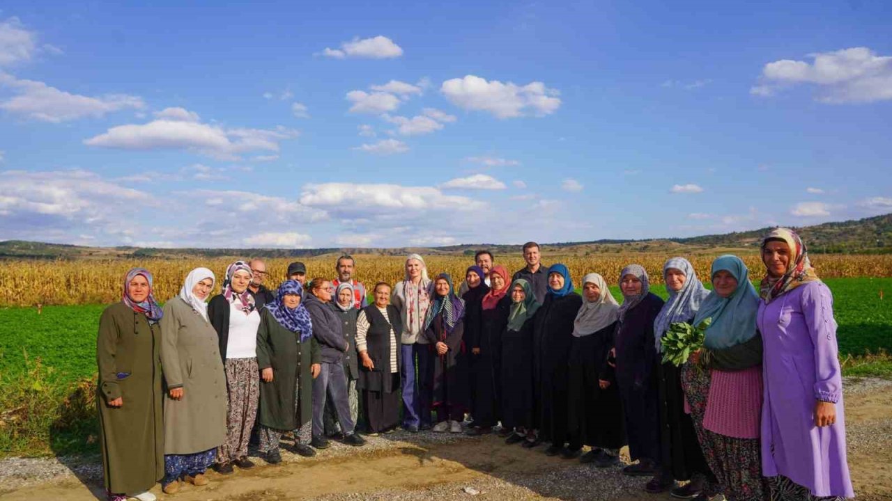 Bilecik’te dağıtılan sebze fidelerinin hasadını yapıldı