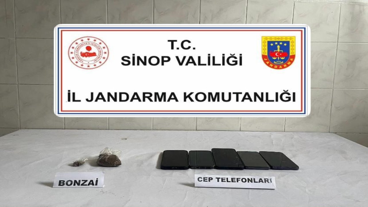 Sinop’ta bonzai ele geçirildi: 1 kişi tutuklandı