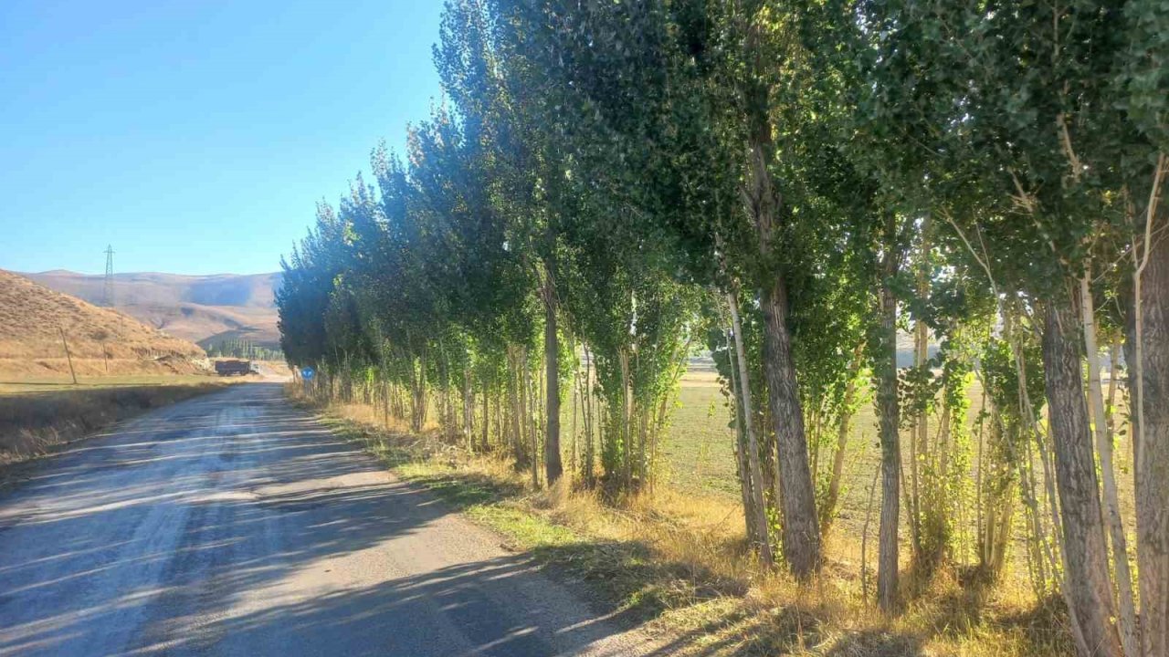 Bayburtlu vatandaştan DSİ’ye tepki: "Hiçbir gerekçe göstermeden fidanlarımızı katletmek istiyorlar"