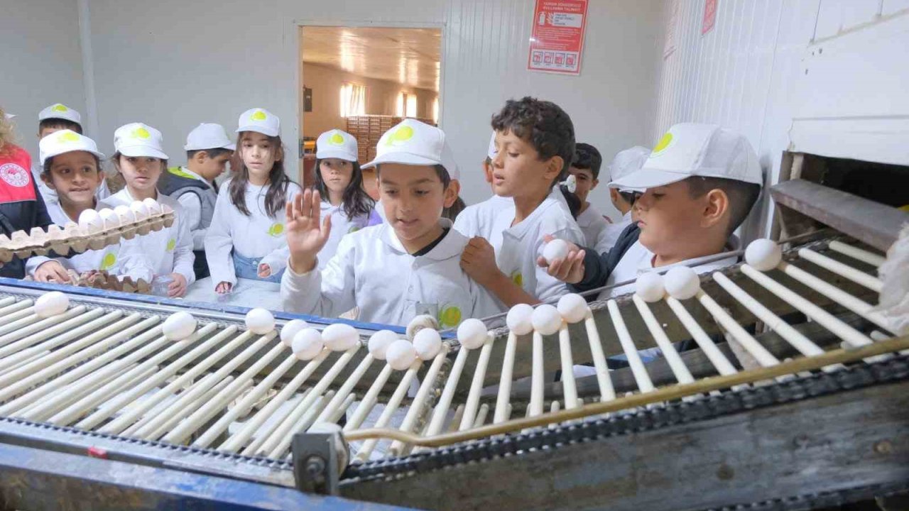 Muş’ta "kooperatifçilik" temalı tarım kampı düzenlendi