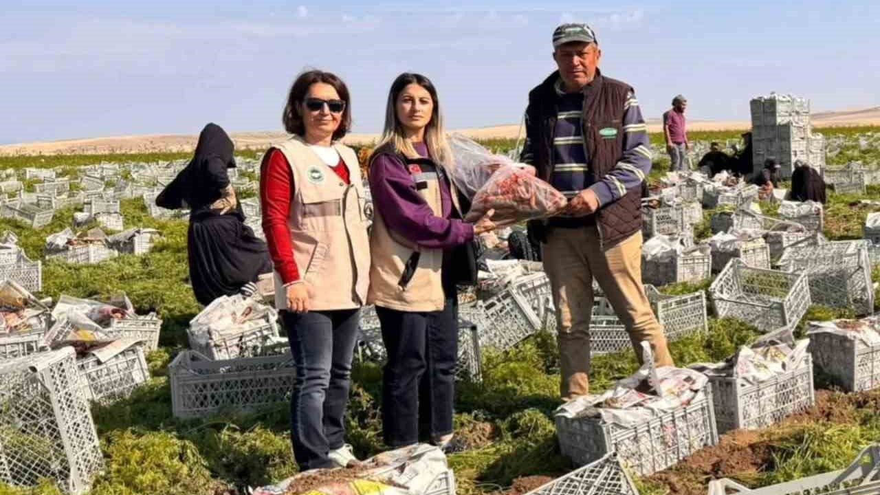 Beypazarı’nda gıda güvenliği denetimleri aralıksız sürüyor