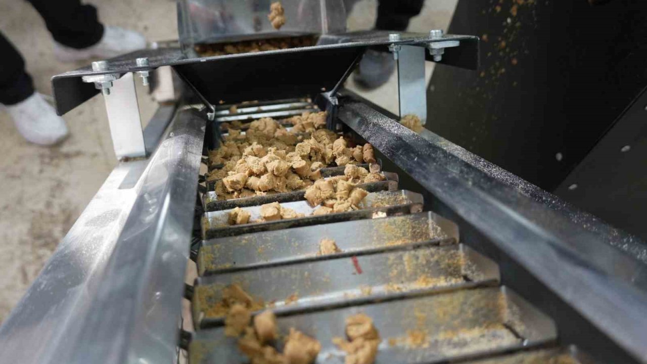 Düzce’de sokak hayvanları için mama üretim tesisi kuruldu