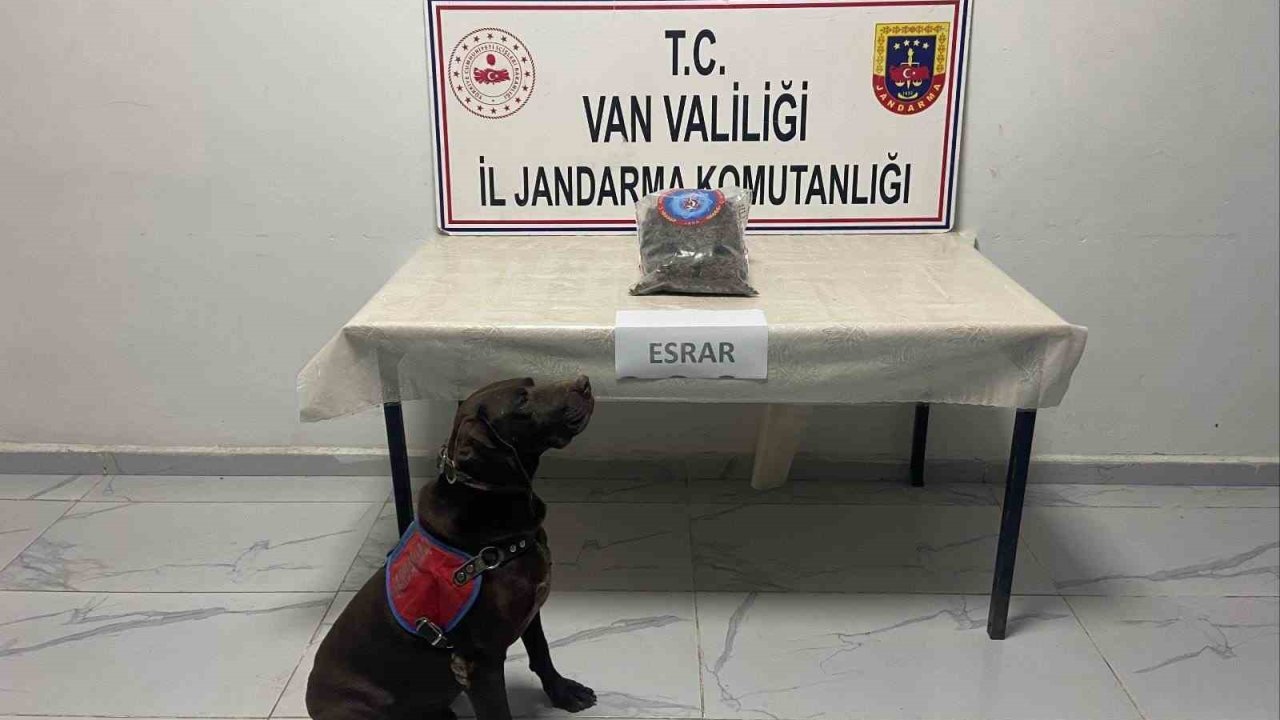 Hakkari’de kubar esrar ele geçirildi