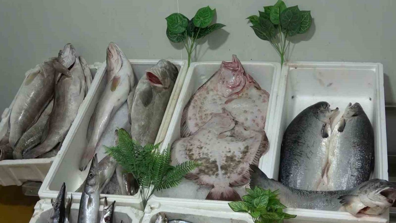 Kebap şehri Gaziantep’in yeni gözdesi balık