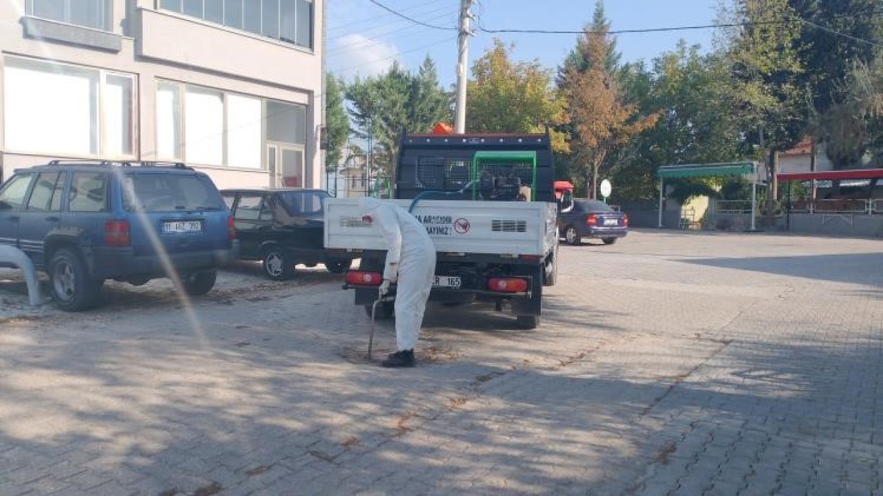Bilecik’te kışlak ilaçlama çalışmaları sürüyor