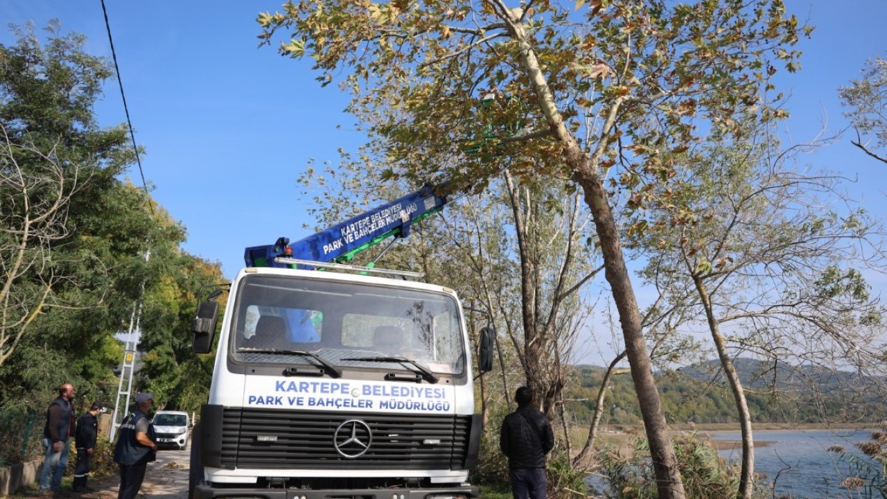 Kartepe’de yeşil alanlara bakım yapılıyor