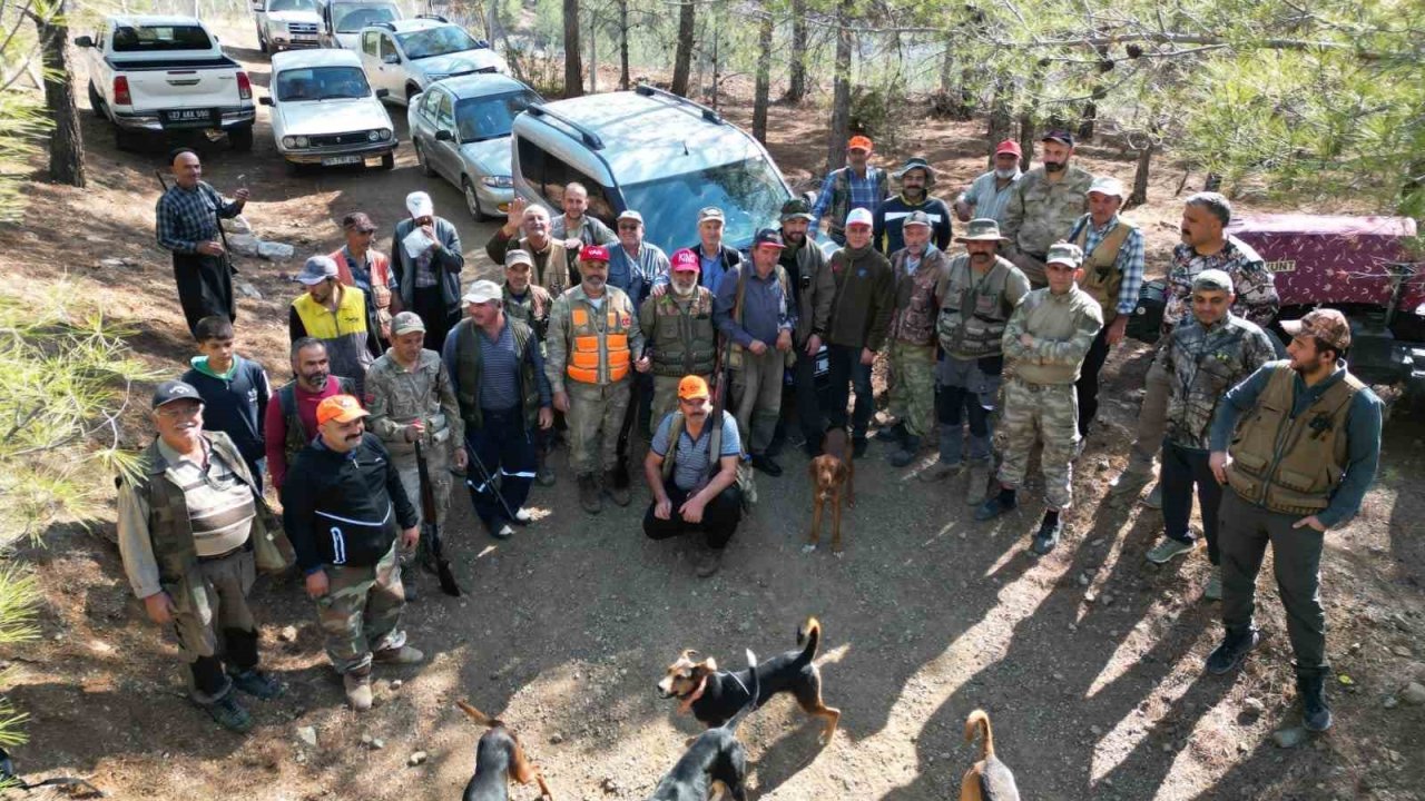Tarım arazilerine zarar veren yaban domuzları için sürek avı