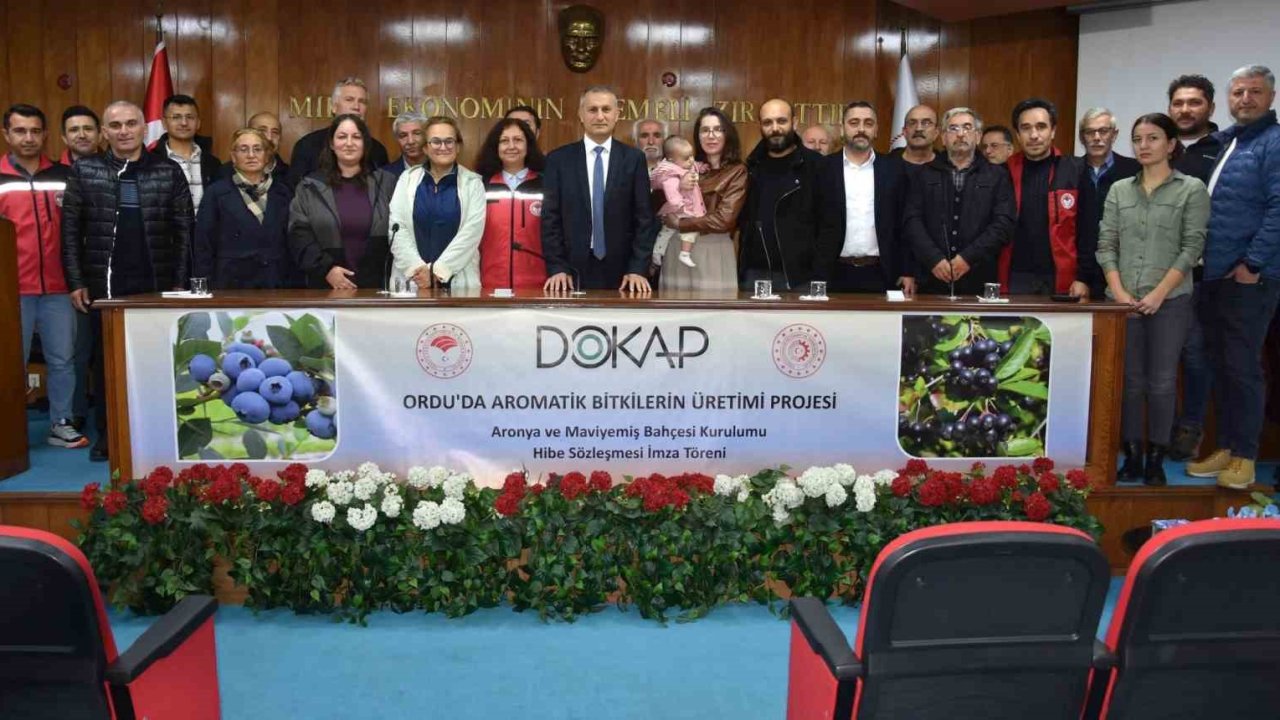 Ordu’da maviyemiş ve aronya üretim alanı 180 dekara ulaşıyor