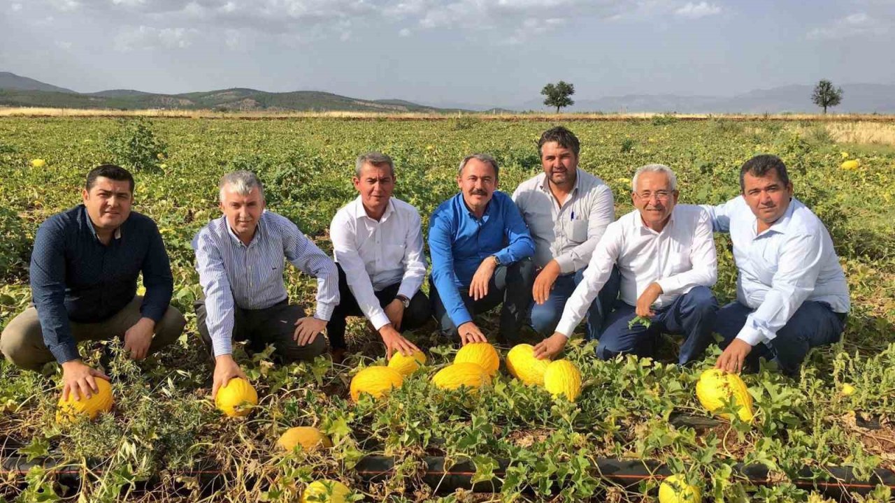 Tezgahlarda 10 liraya satılan Acıpayam kavunu tescillendi