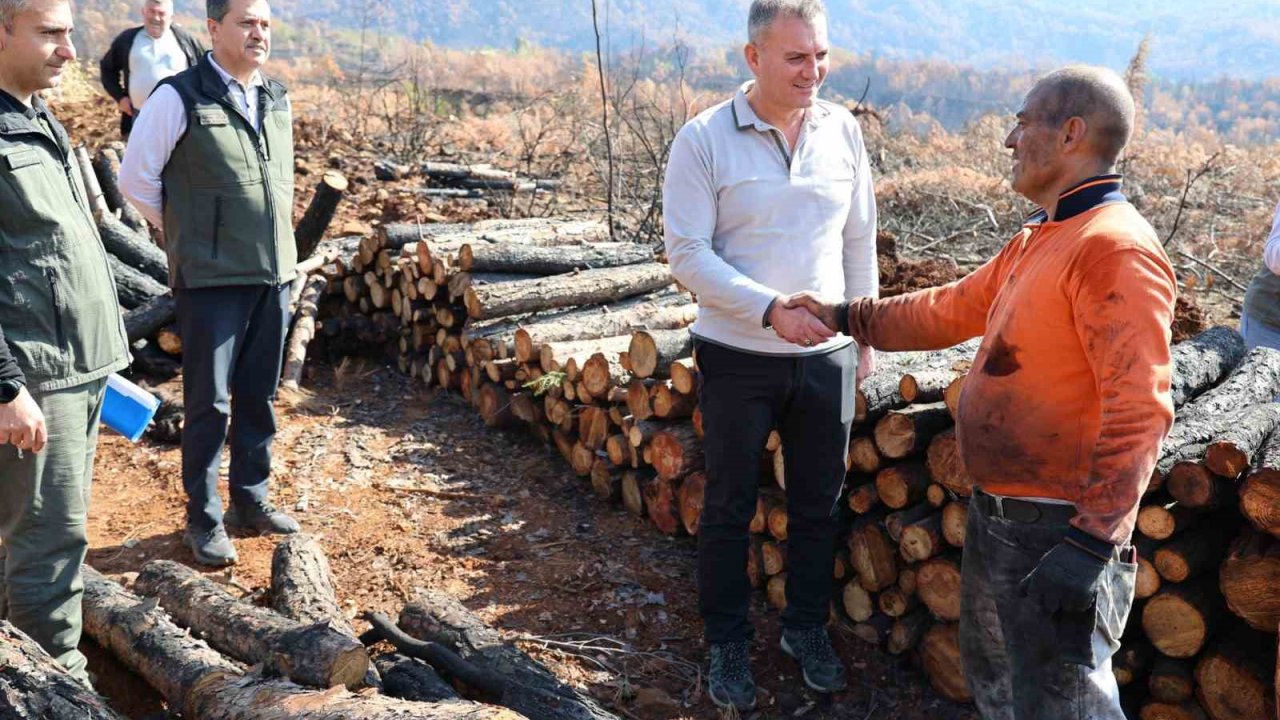 Köyceğiz’de yanan sahalar fidan dikimi için hazırlanıyor
